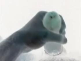 Tocandome rato-2013-07-20-02-20-39